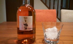 2013-06-09_201349.jpg